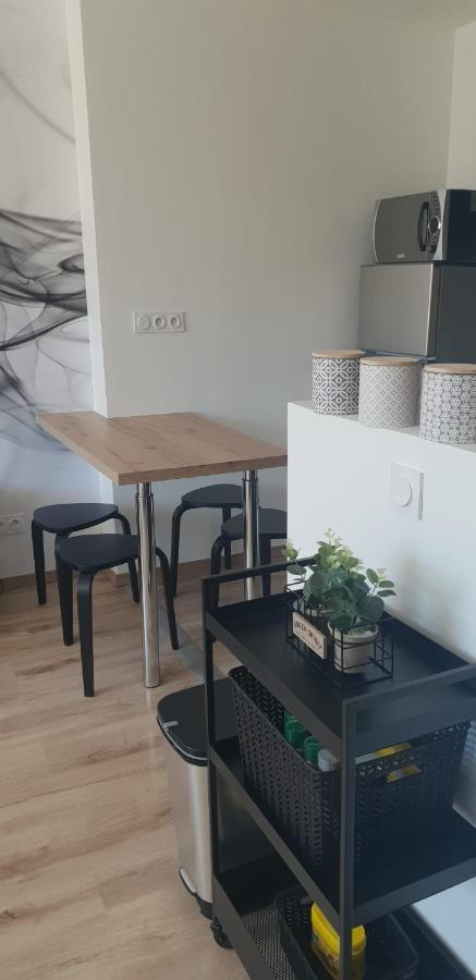 Cosy T2-Gare de Grenoble Apartment Exterior foto