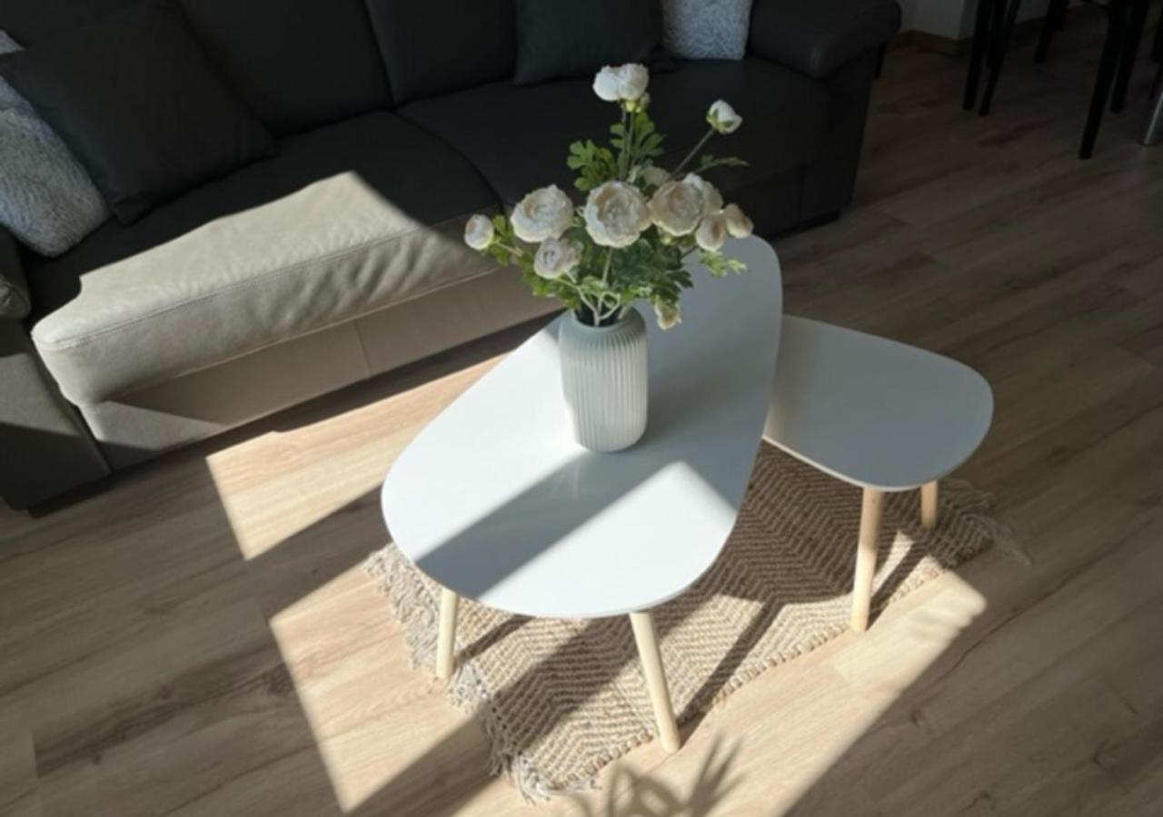 Cosy T2-Gare de Grenoble Apartment Exterior foto